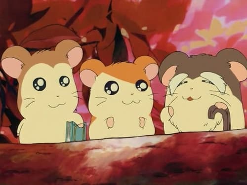 Episode 11: The Wise, Elder-Ham