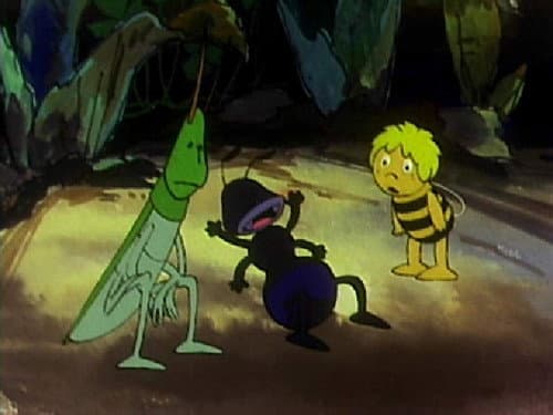 Episode 50: Anthony the ant child