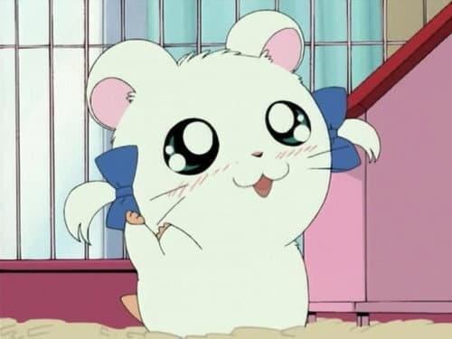 Episode 15: Bijou`s Favorite Ribbon