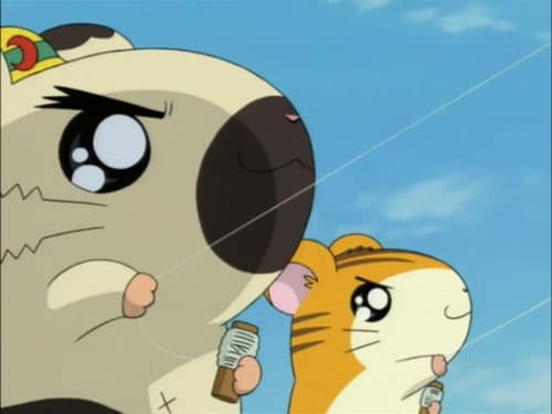 Episode 79: The New Year`s Kite Adventure