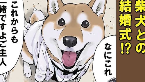Episode 56: Teach Me, Haru-san / Vow of Servitude / Deer Antlers