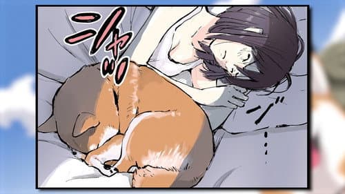 Episode 5: The Nightmare / Goodbye / One Dog Is Enough
