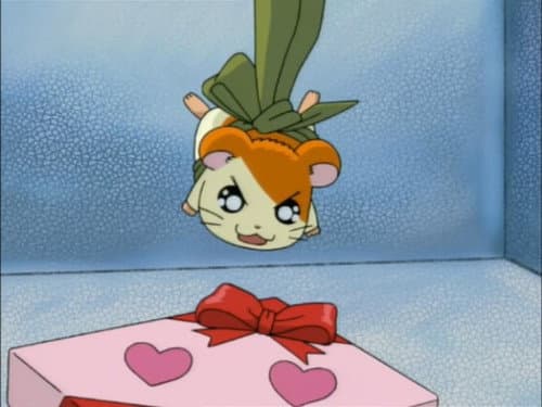 Episode 84: Laura`s Valentine