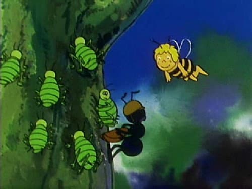 Episode 43: Ant ranch