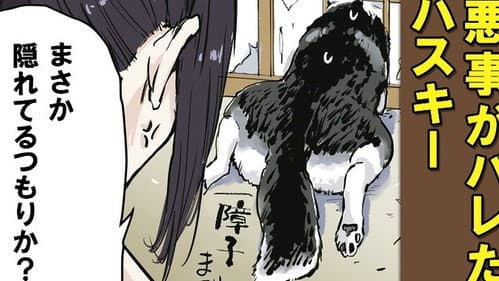 Episode 49: Ye Olde Master and the Monkey (Normal? Ver.) / Ye Olde Master and the Monkey (Shiba Inu Version) / Ye Olde Master and the Husky / Ye Olde Master and the Cat