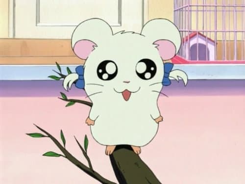 Episode 4: Come Out, Bijou!