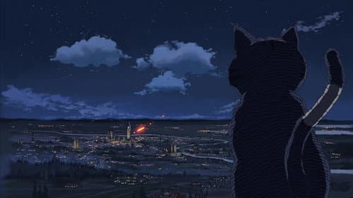 Episode 11: A Gathering of Cats
