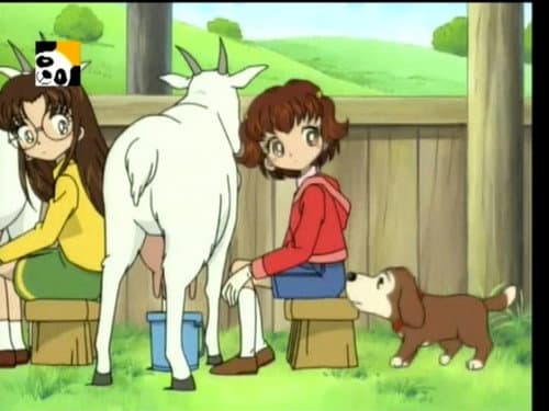 Episode 70: The Baby Goat