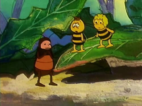 Episode 26: Cricket's melody