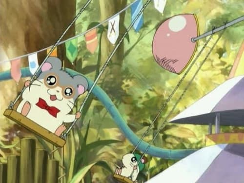 Episode 19: Panda`s Ham-Ham Fun Park!