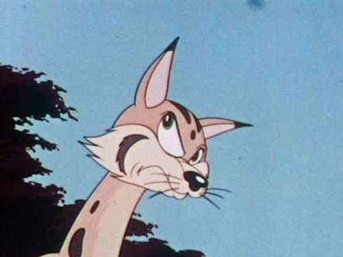 Episode 28: The Wild Wildcat