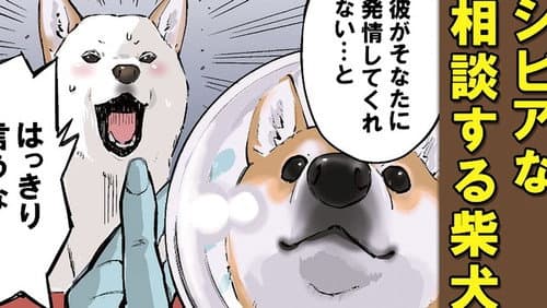 Episode 34: Shiba Distance / Multifunctional Appliance / Love Potion