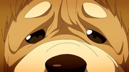 Episode 12: Ora-gone?!: No more secrets. Ora ora ora!