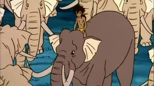 Episode 50: Kaa`s Sloughing And The Elephant Dance