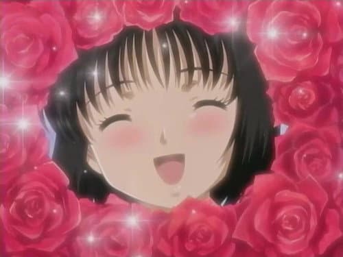 Episode 11: Would You Marry Me...? / Under the Stars of the Sky...