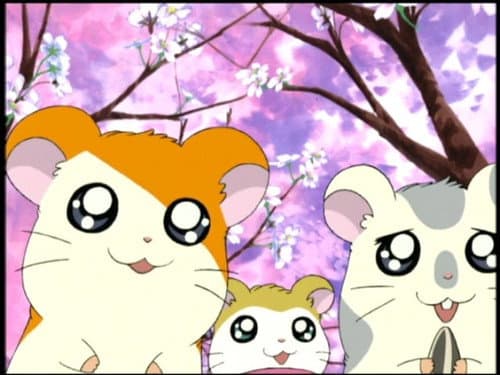 Episode 40: The Blossom of Friendship!