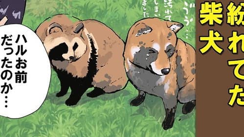 Episode 66: Catching Eels / Trash Panda