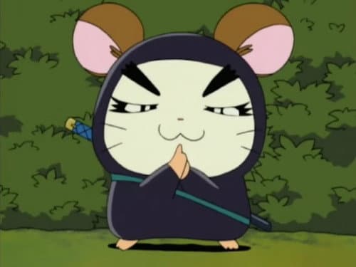 Episode 88: Nin-Ham the Ninja!