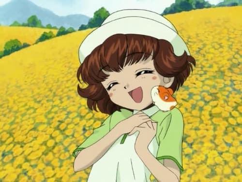Episode 8: The Sunflower Field