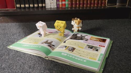 Episode 8: The Nyanbo's Secret