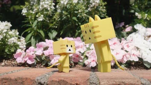 Episode 1: The Cats That Came From the Stars
